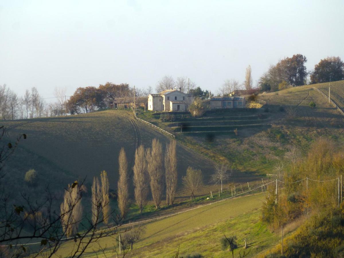 Locanda San Francesco Montecarotto Exteriör bild